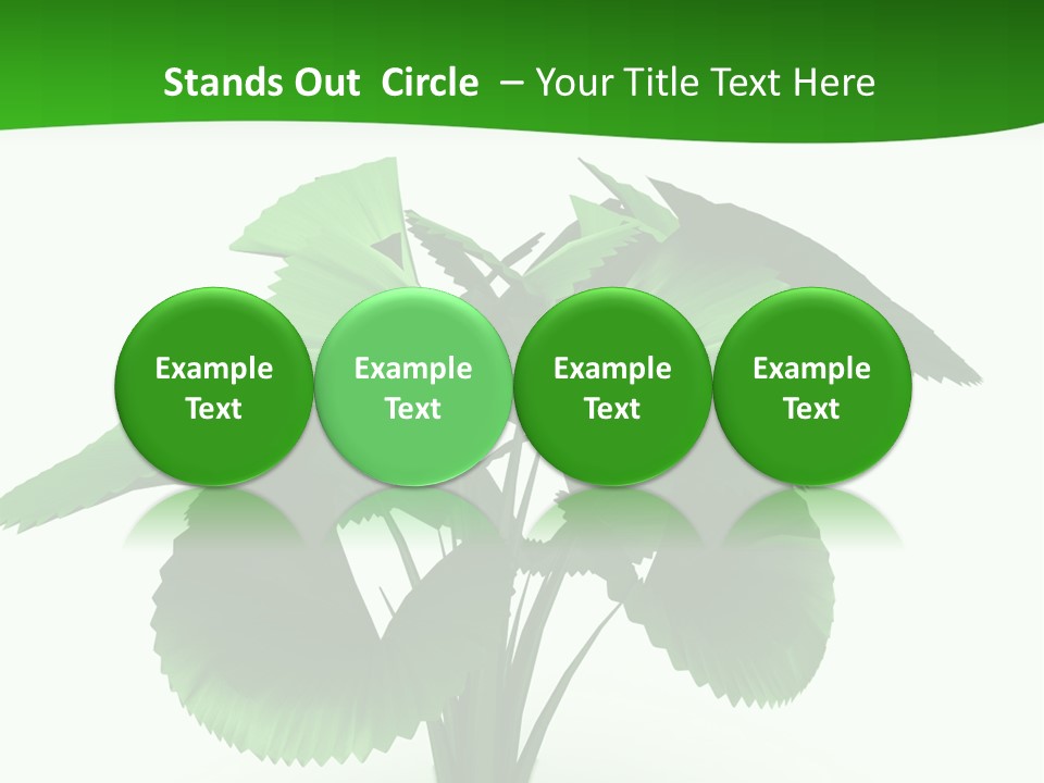 Focus White Happy PowerPoint Template