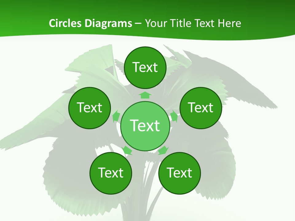 Focus White Happy PowerPoint Template