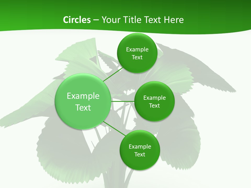 Focus White Happy PowerPoint Template