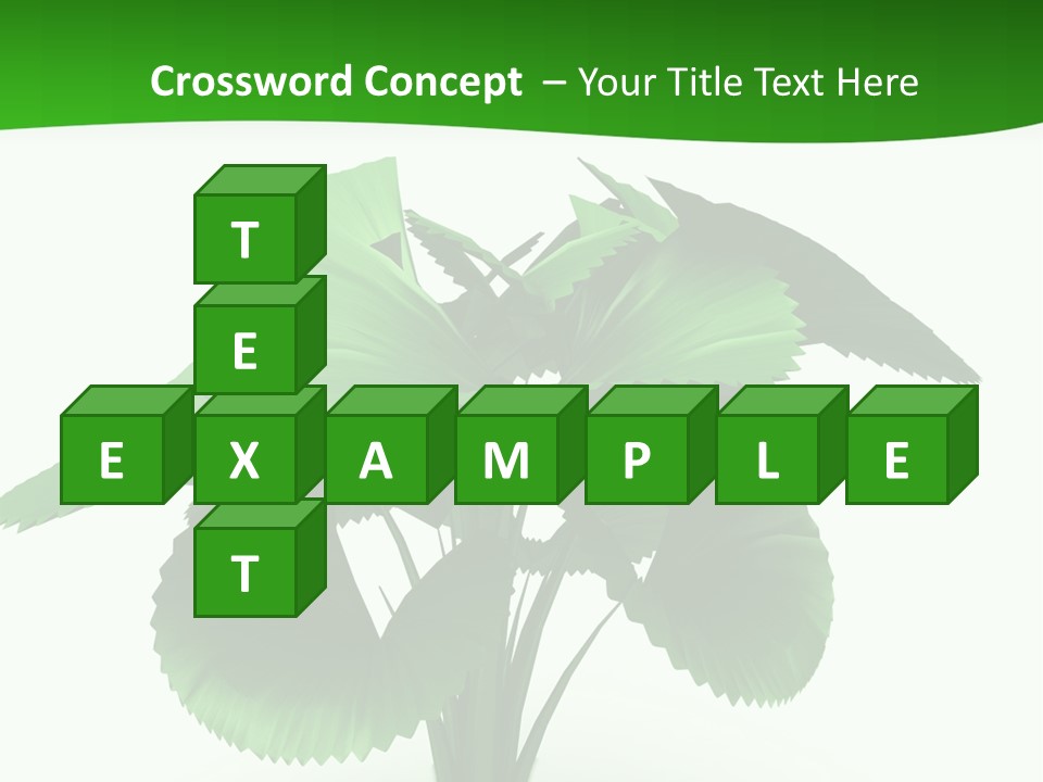 Focus White Happy PowerPoint Template