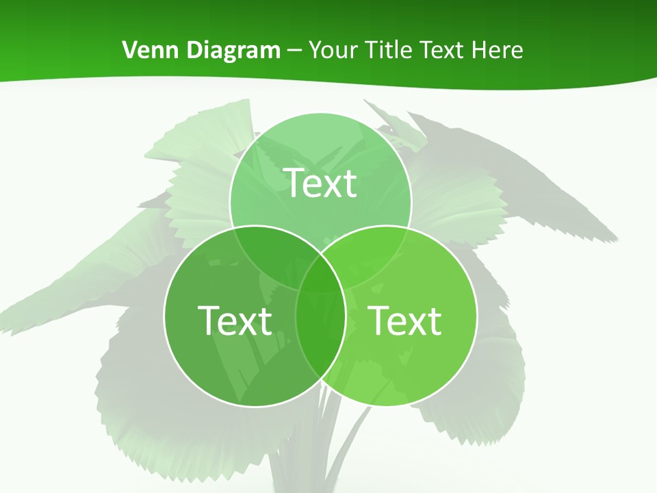 Focus White Happy PowerPoint Template