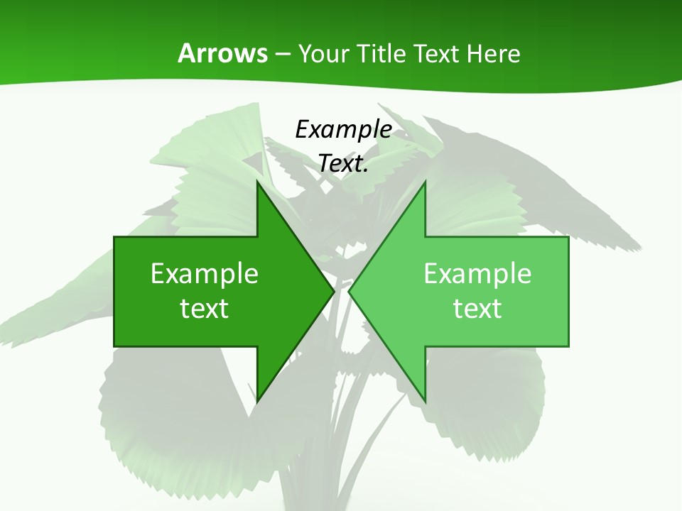 Focus White Happy PowerPoint Template