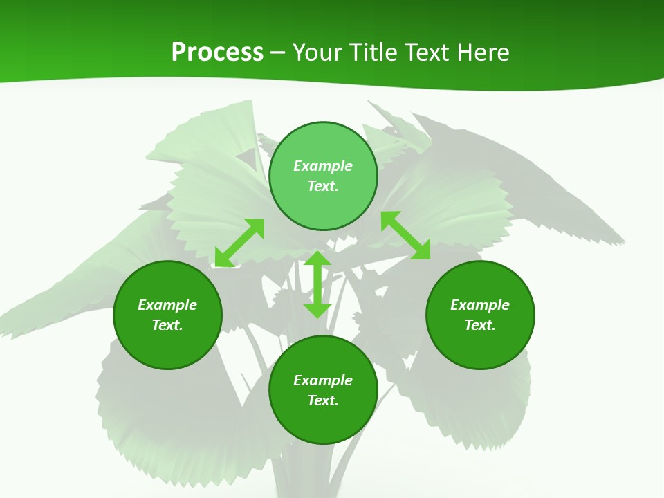 Focus White Happy PowerPoint Template