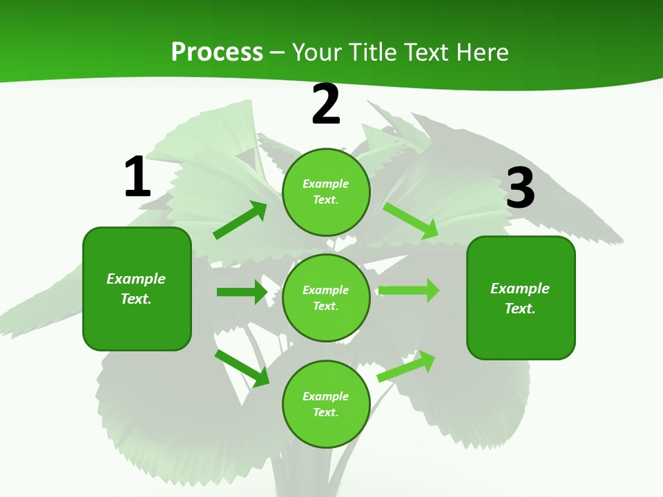 Focus White Happy PowerPoint Template