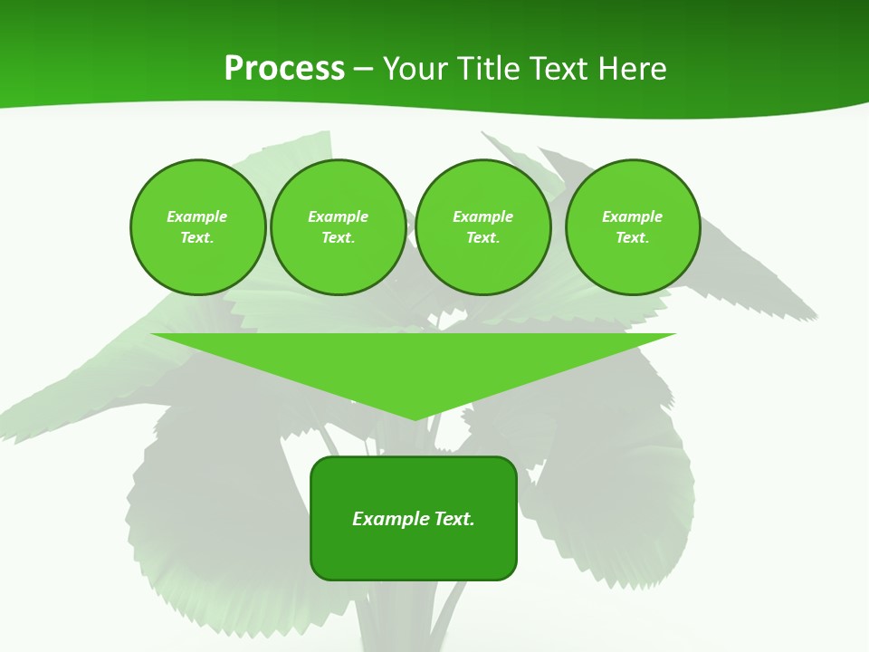 Focus White Happy PowerPoint Template