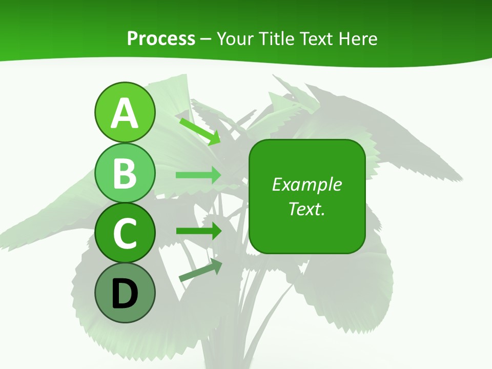 Focus White Happy PowerPoint Template