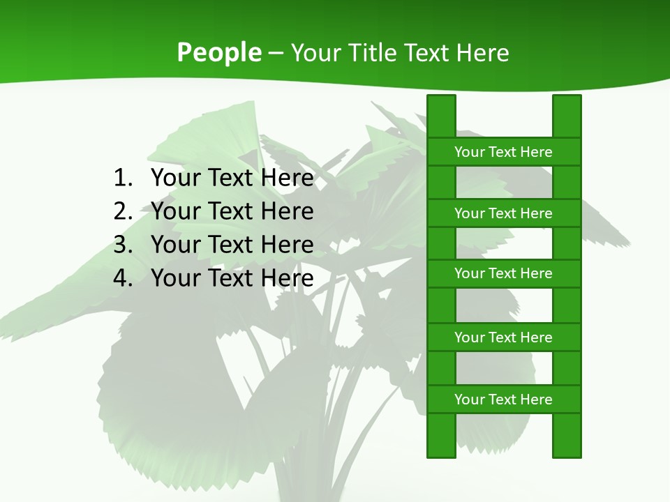 Focus White Happy PowerPoint Template