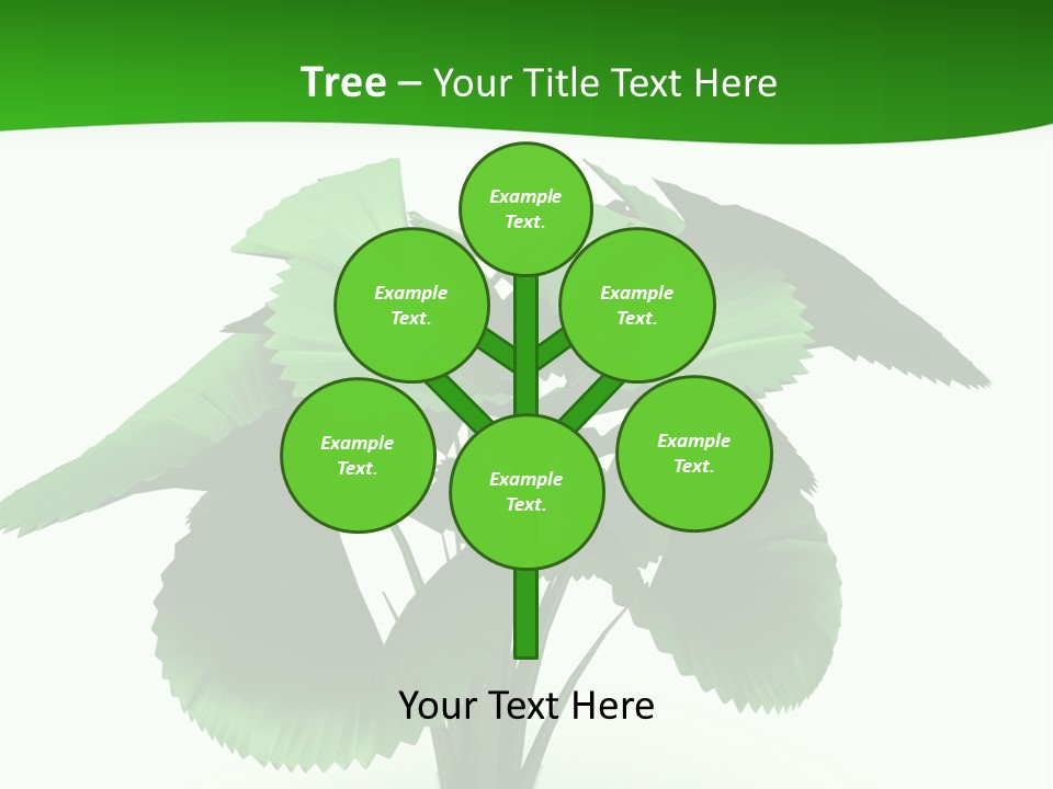 Focus White Happy PowerPoint Template