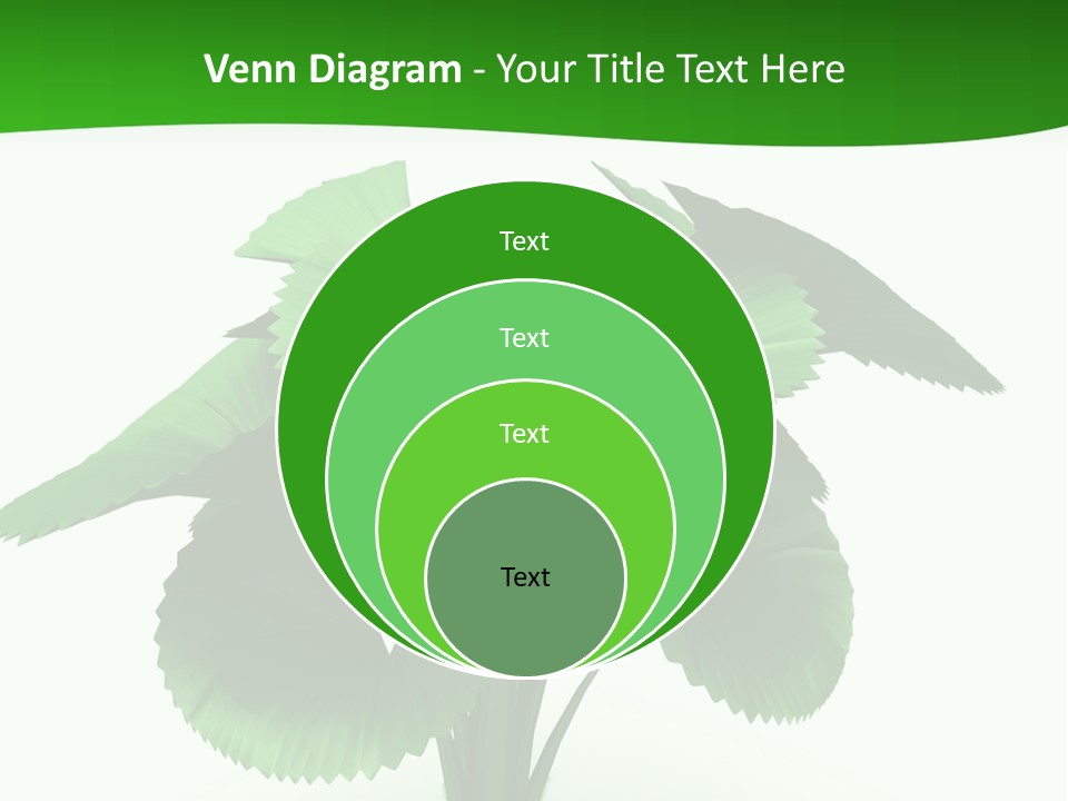 Focus White Happy PowerPoint Template