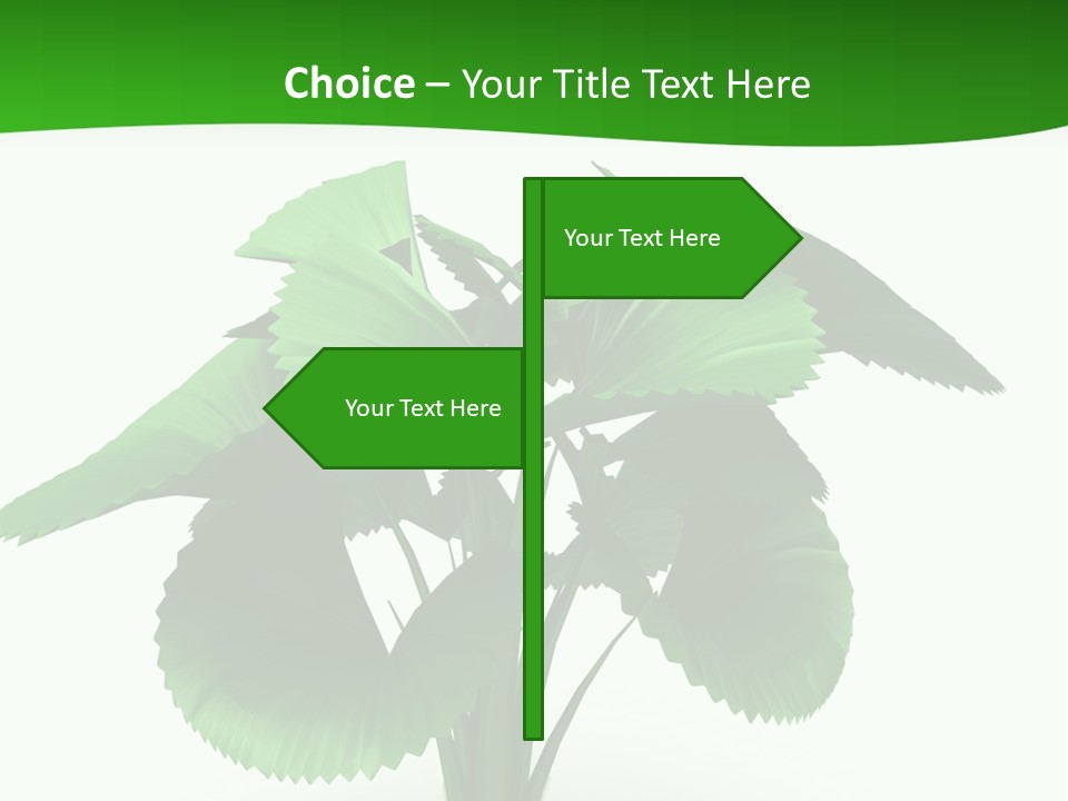 Focus White Happy PowerPoint Template