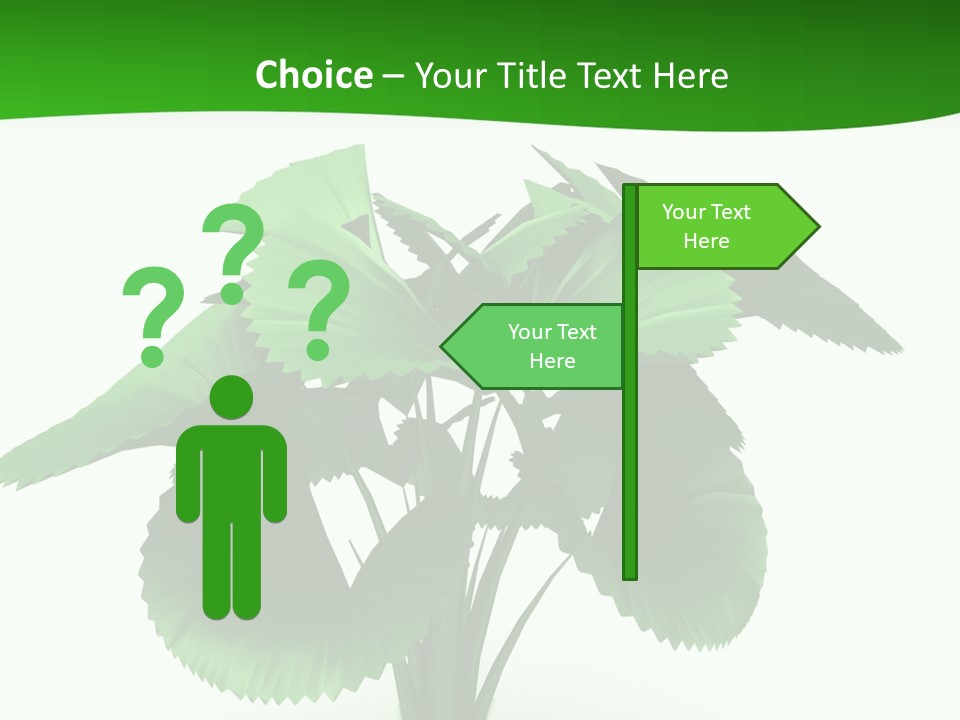 Focus White Happy PowerPoint Template