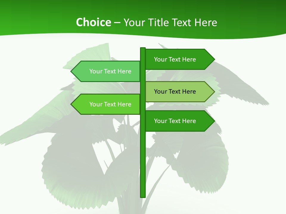 Focus White Happy PowerPoint Template