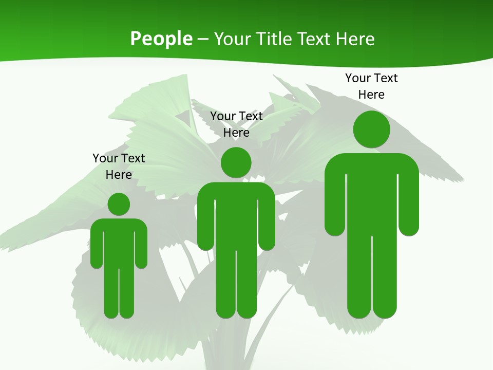 Focus White Happy PowerPoint Template