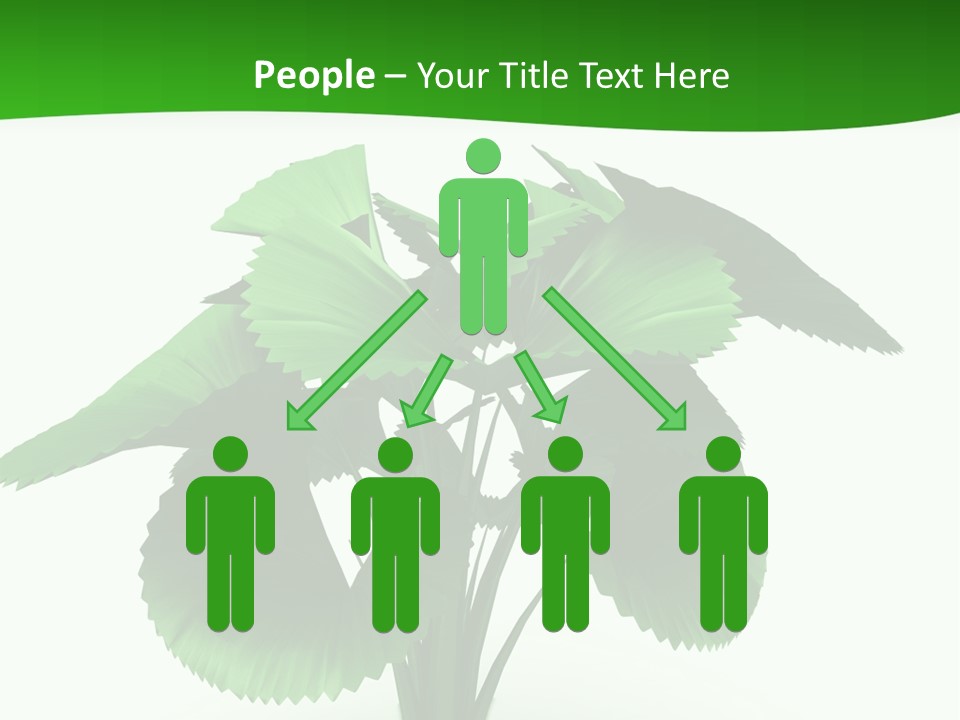 Focus White Happy PowerPoint Template