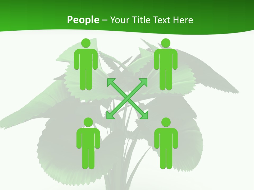 Focus White Happy PowerPoint Template