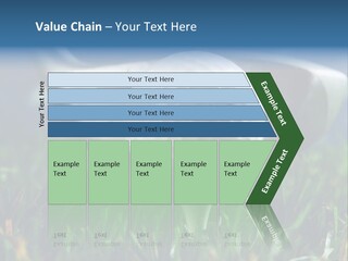 Focus White Happy PowerPoint Template