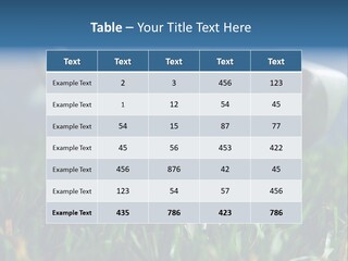 Focus White Happy PowerPoint Template