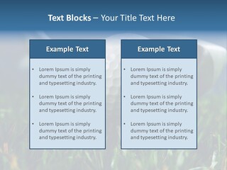 Focus White Happy PowerPoint Template