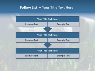 Focus White Happy PowerPoint Template