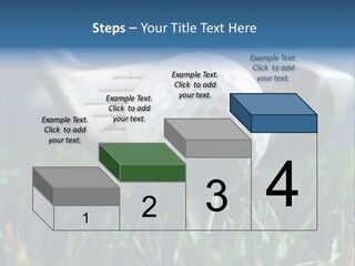 Focus White Happy PowerPoint Template