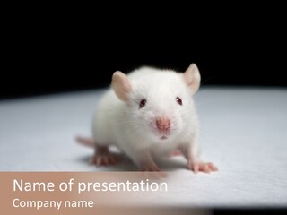 Test Healthcare Drug PowerPoint Template