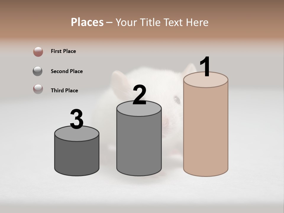 Test Healthcare Drug PowerPoint Template