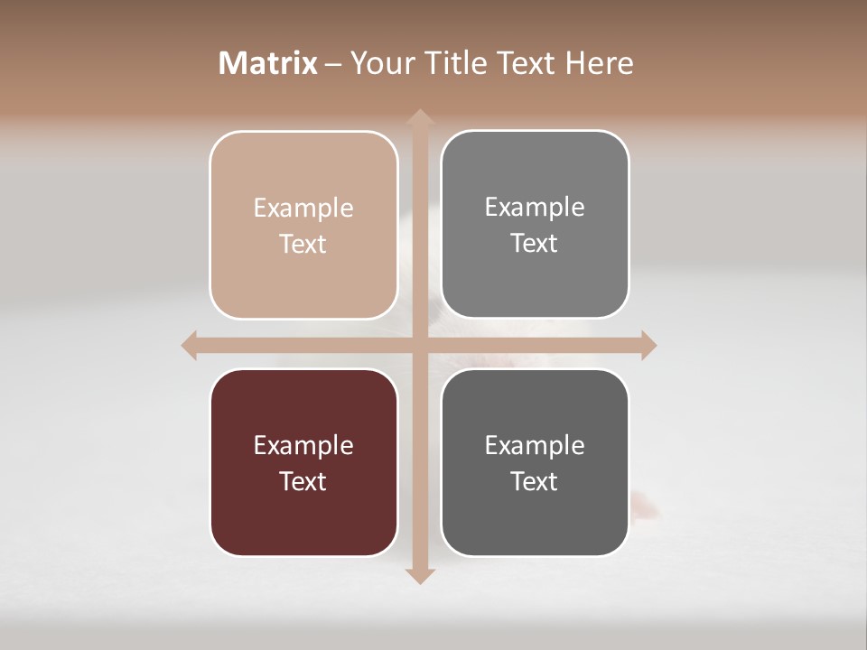 Test Healthcare Drug PowerPoint Template