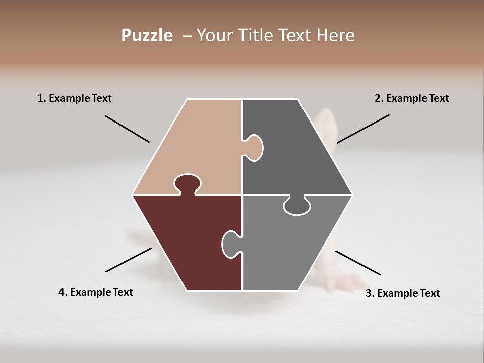 Test Healthcare Drug PowerPoint Template