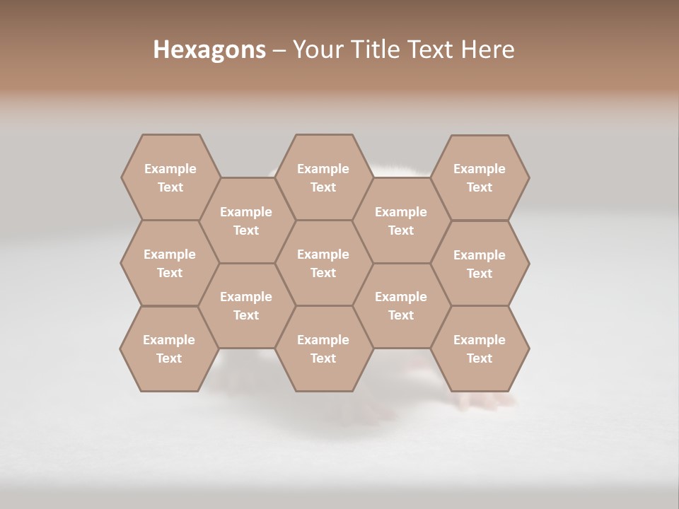 Test Healthcare Drug PowerPoint Template