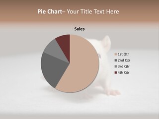 Test Healthcare Drug PowerPoint Template