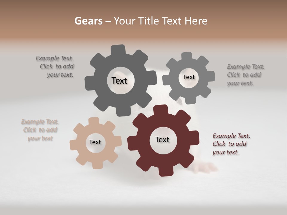 Test Healthcare Drug PowerPoint Template