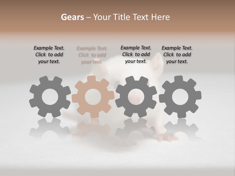 Test Healthcare Drug PowerPoint Template