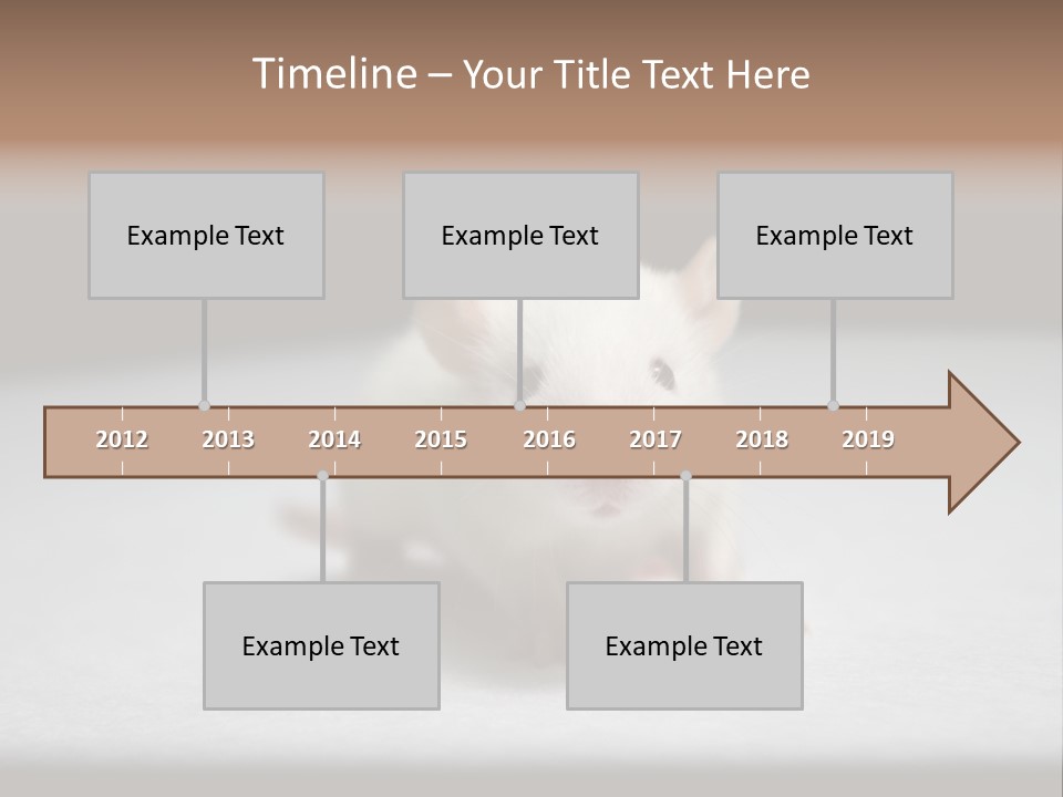 Test Healthcare Drug PowerPoint Template