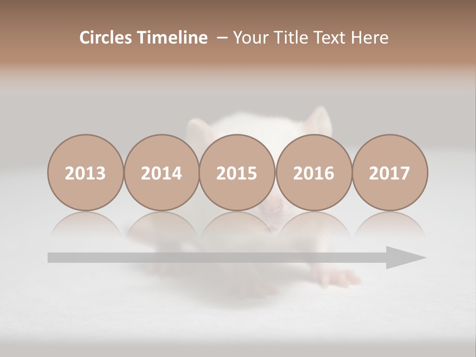 Test Healthcare Drug PowerPoint Template