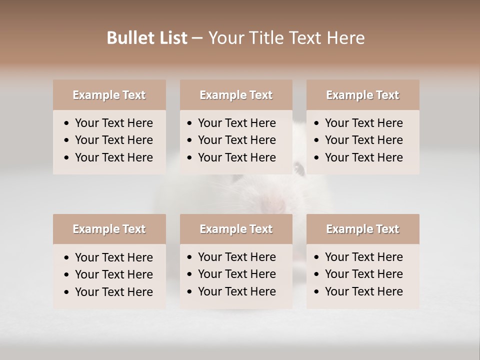 Test Healthcare Drug PowerPoint Template
