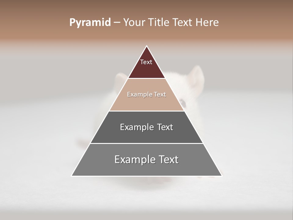 Test Healthcare Drug PowerPoint Template