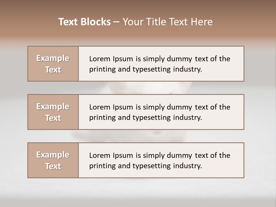 Test Healthcare Drug PowerPoint Template