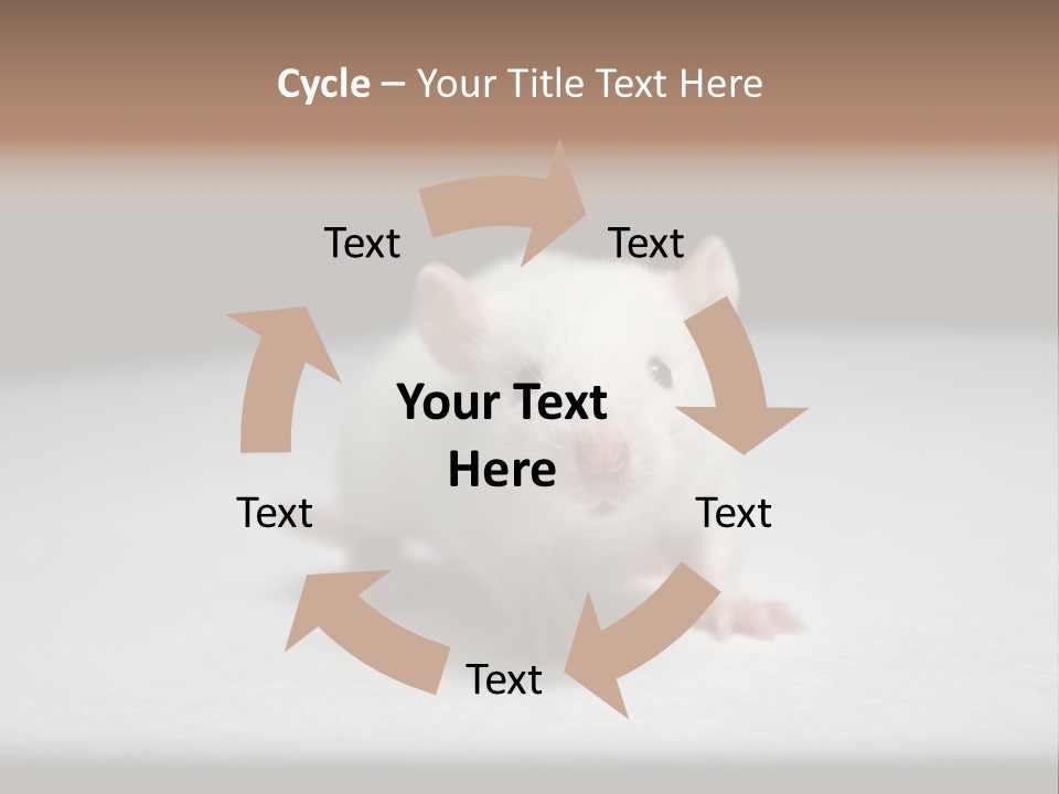 Test Healthcare Drug PowerPoint Template