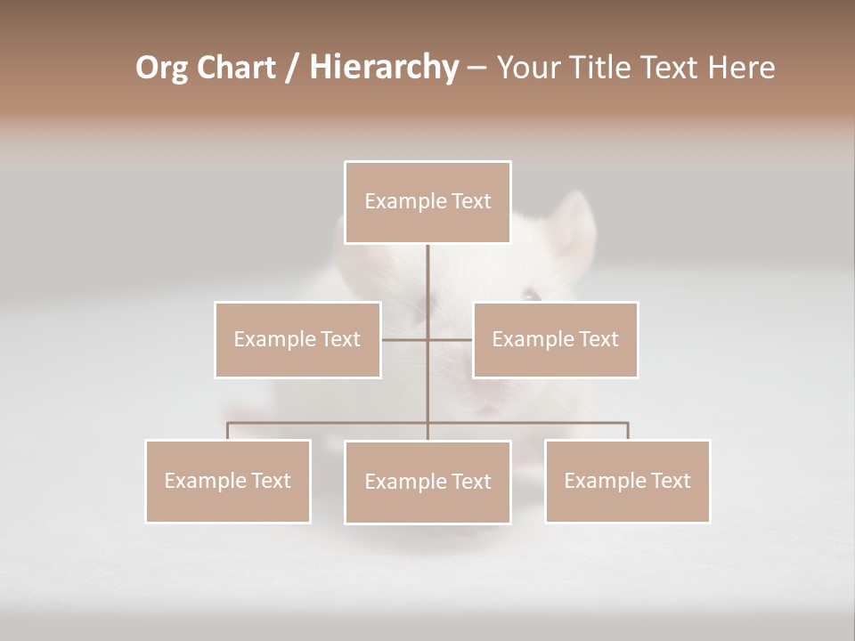 Test Healthcare Drug PowerPoint Template