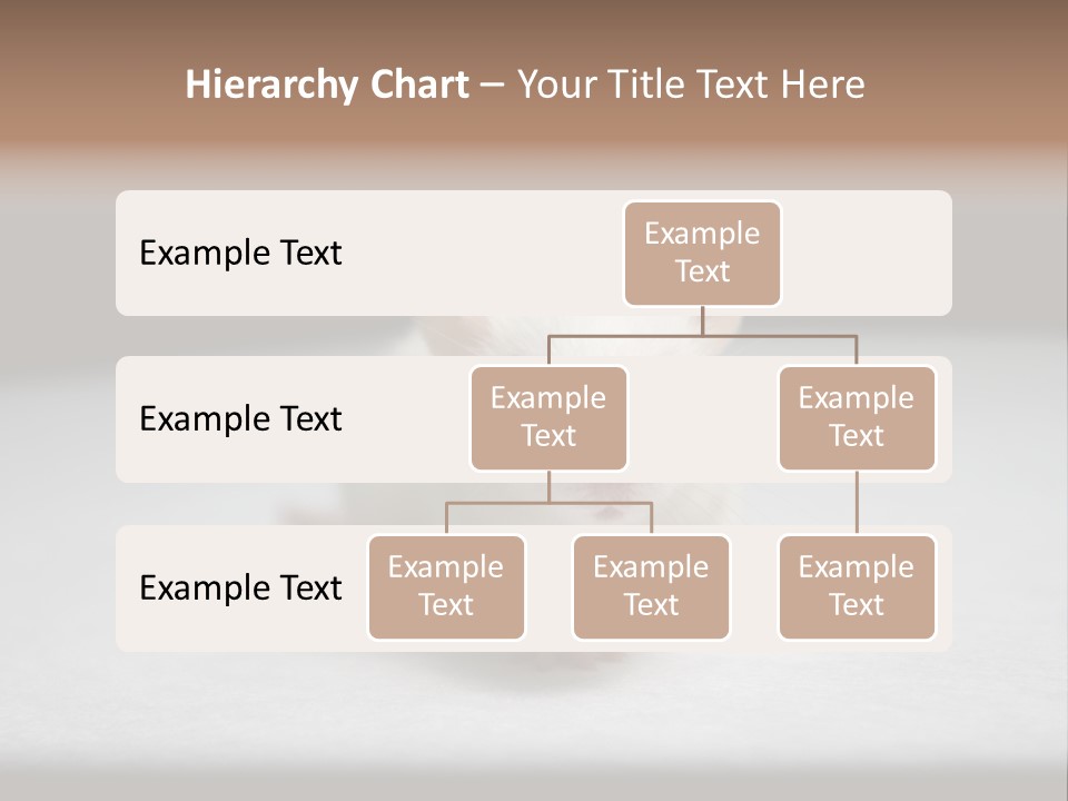 Test Healthcare Drug PowerPoint Template