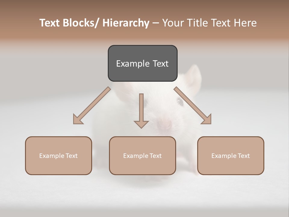 Test Healthcare Drug PowerPoint Template