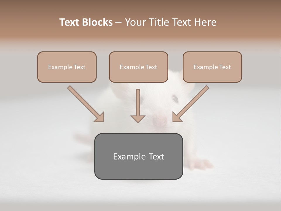 Test Healthcare Drug PowerPoint Template