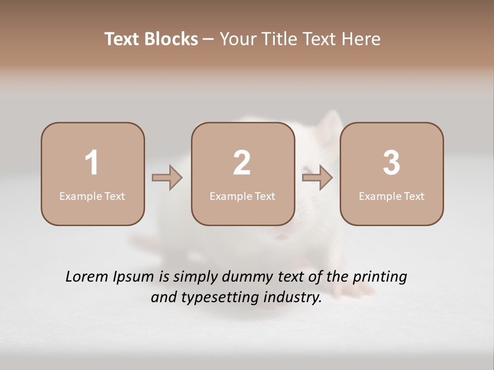 Test Healthcare Drug PowerPoint Template