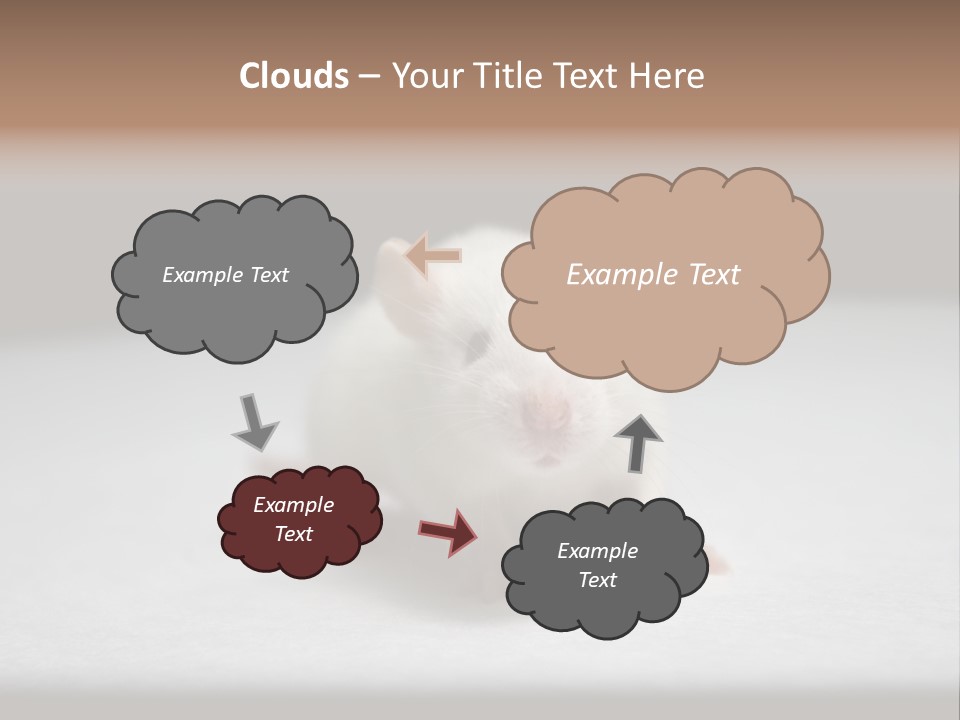 Test Healthcare Drug PowerPoint Template