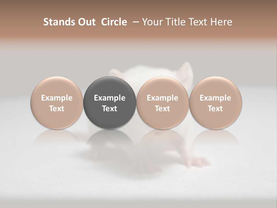 Test Healthcare Drug PowerPoint Template