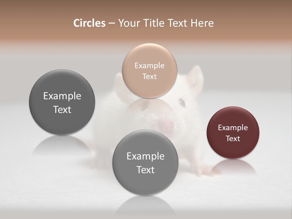 Test Healthcare Drug PowerPoint Template