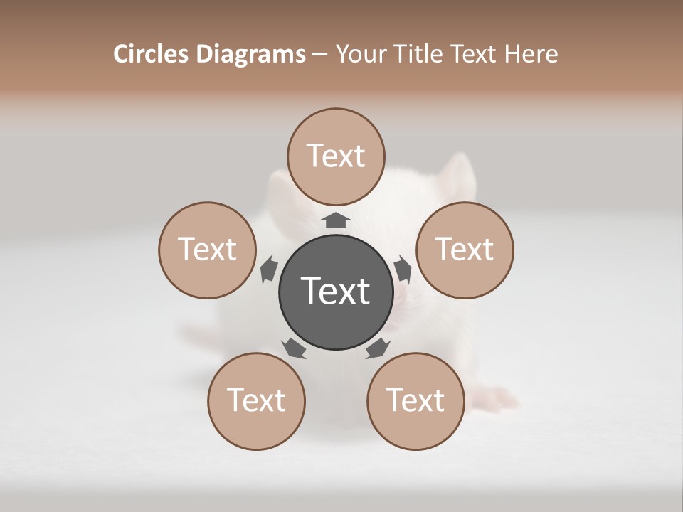 Test Healthcare Drug PowerPoint Template