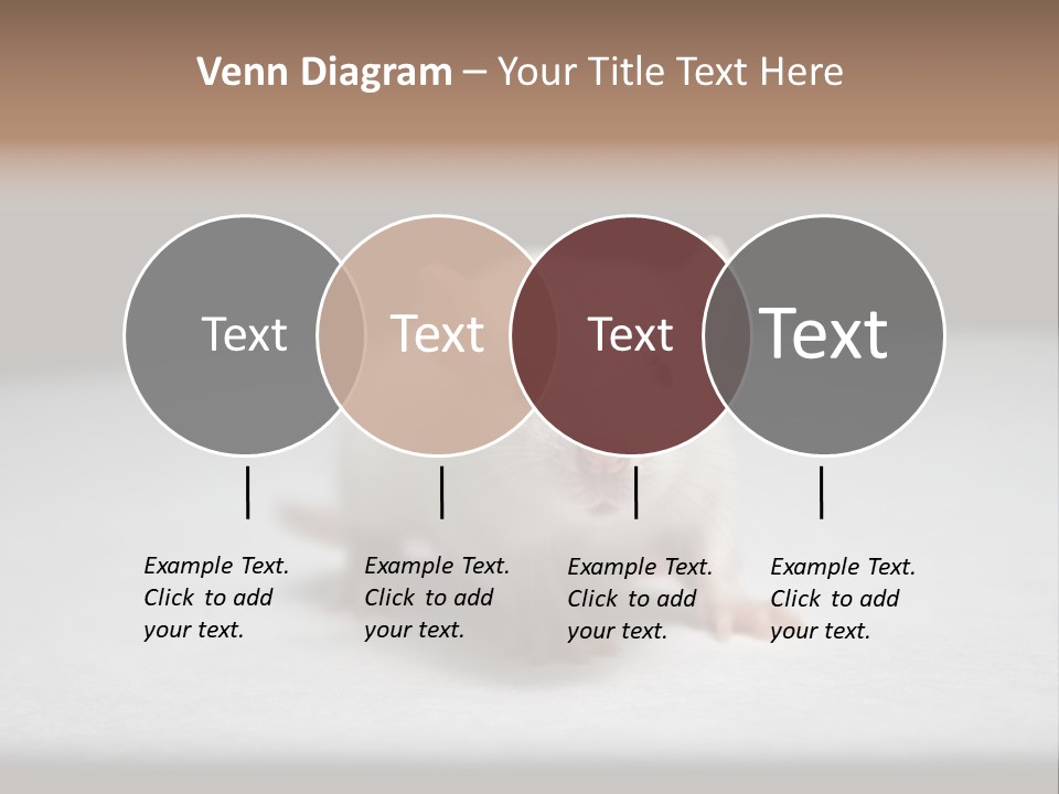 Test Healthcare Drug PowerPoint Template