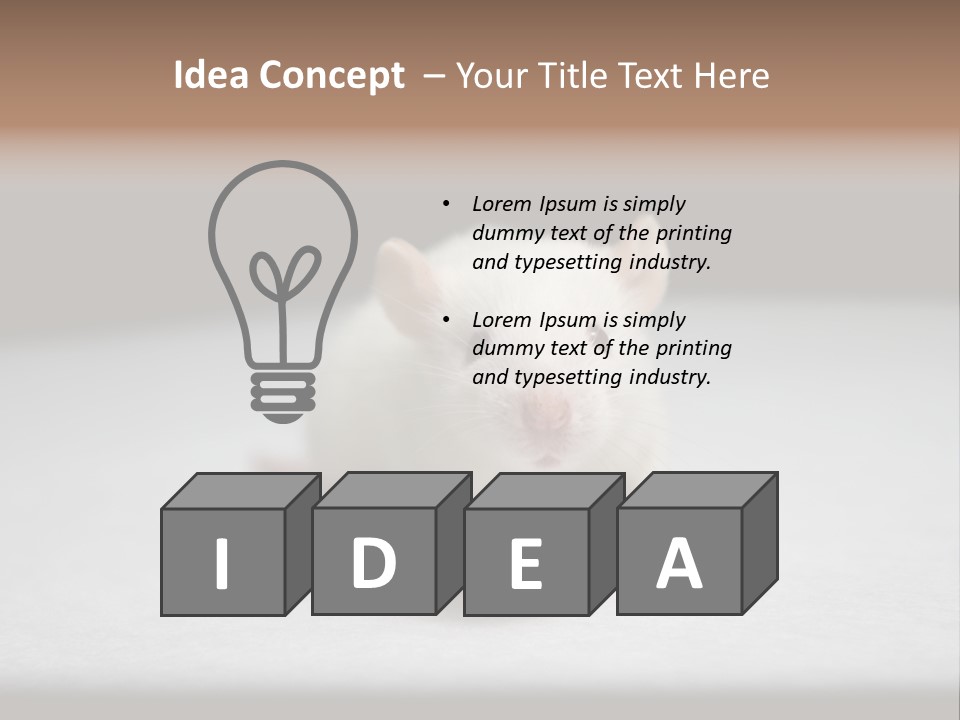 Test Healthcare Drug PowerPoint Template