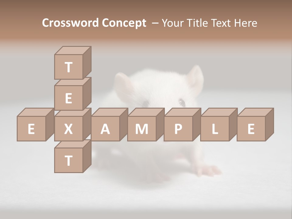 Test Healthcare Drug PowerPoint Template